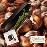 één rode roos met dikke knop + doos Belgische chocolade zeevruchten + mooie verpakking één rode roos met dikke knop + doos Belgische chocolade zeevruchten + mooie verpakking