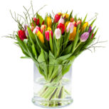 Tulipa - Boeket Tulpen - Mix van alle beschikbare kleuren - Met fijne groene opvulling Tulipa - Boeket Tulpen - Mix van alle beschikbare kleuren - Met fijne groene opvulling