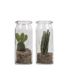 Message in a bottle(470 Duo pack) Message in a bottle(470 Duo pack)