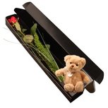 Eén rode roos met dikke knop + kleine knuffelbeer + luxueuze verpakking Eén rode roos met dikke knop + kleine knuffelbeer + luxueuze verpakking