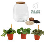 Plant Puzzel ® Discover the World Ecosysteem met verlichting DIY Plant Puzzel ® Discover the World Ecosysteem met verlichting DIY