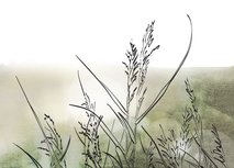 Kaartje 'GECONDOLEERD' - LET OP! ENKEL BIJ AANKOOP VAN EEN BOEKET VERSE SNIJBLOEMEN OF PLANTEN! Kaartje 'GECONDOLEERD' - LET OP! ENKEL BIJ AANKOOP VAN EEN BOEKET VERSE SNIJBLOEMEN OF PLANTEN!