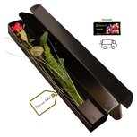 Eén rode roos - luxueuze verpakking - wenskaartje - bloemenvoedsel - enkele bladeren/grassen Eén rode roos - luxueuze verpakking - wenskaartje - bloemenvoedsel - enkele bladeren/grassen